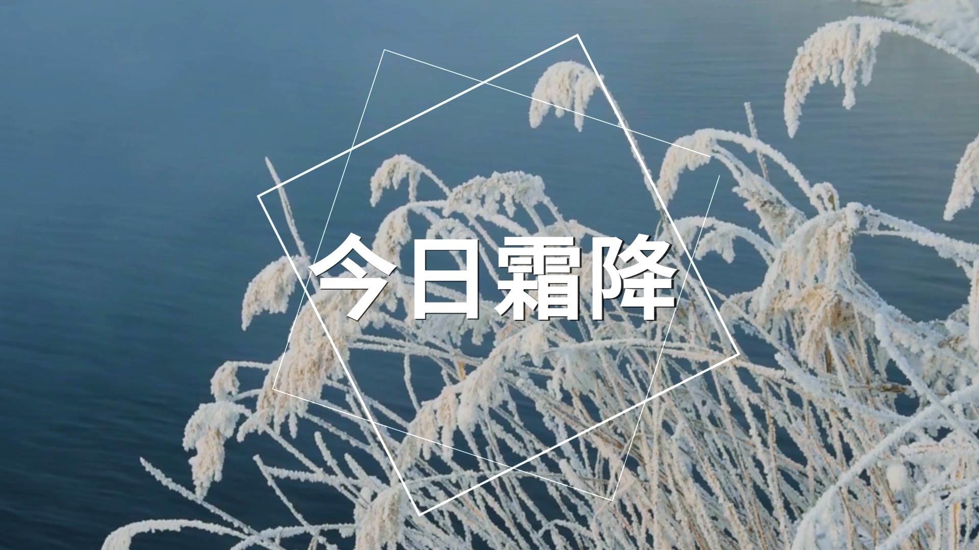 霜降图文AE模板视频的预览图