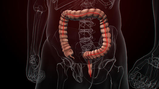 肠胃镜检查视频的预览图
