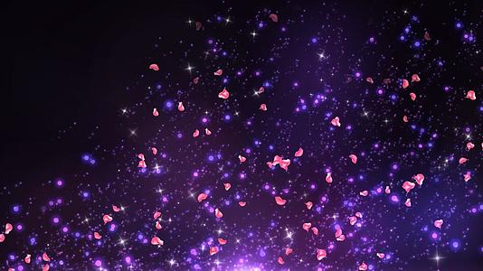 动态大气唯美粒子星光花瓣飘动背景视频元素视频的预览图
