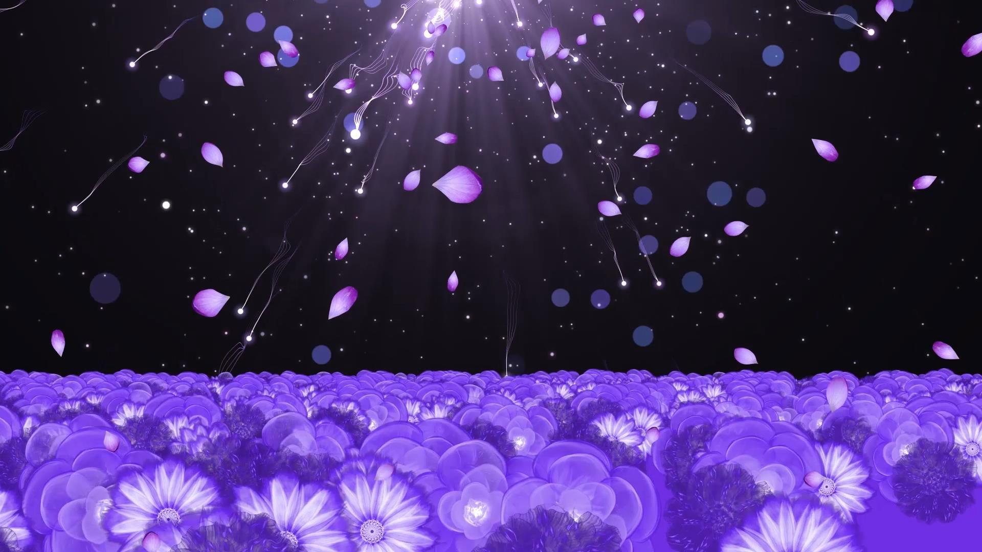 唯美大气粒子花海动态背景视频元素视频的预览图