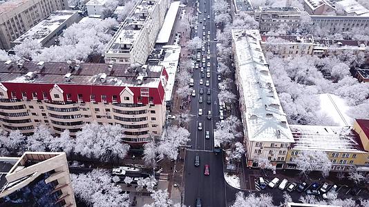 城市中的雪白树木视频的预览图