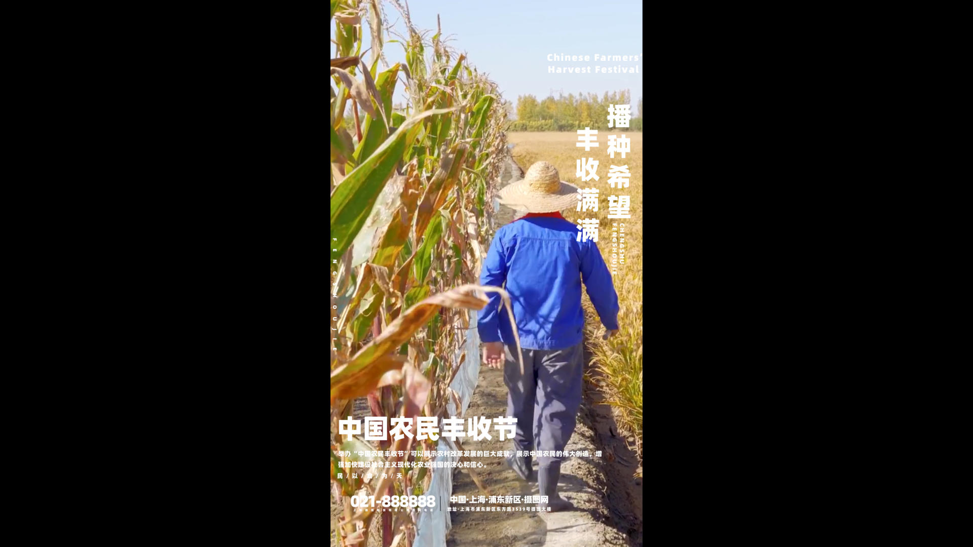 简洁大气中国农民丰收节海报视频的预览图