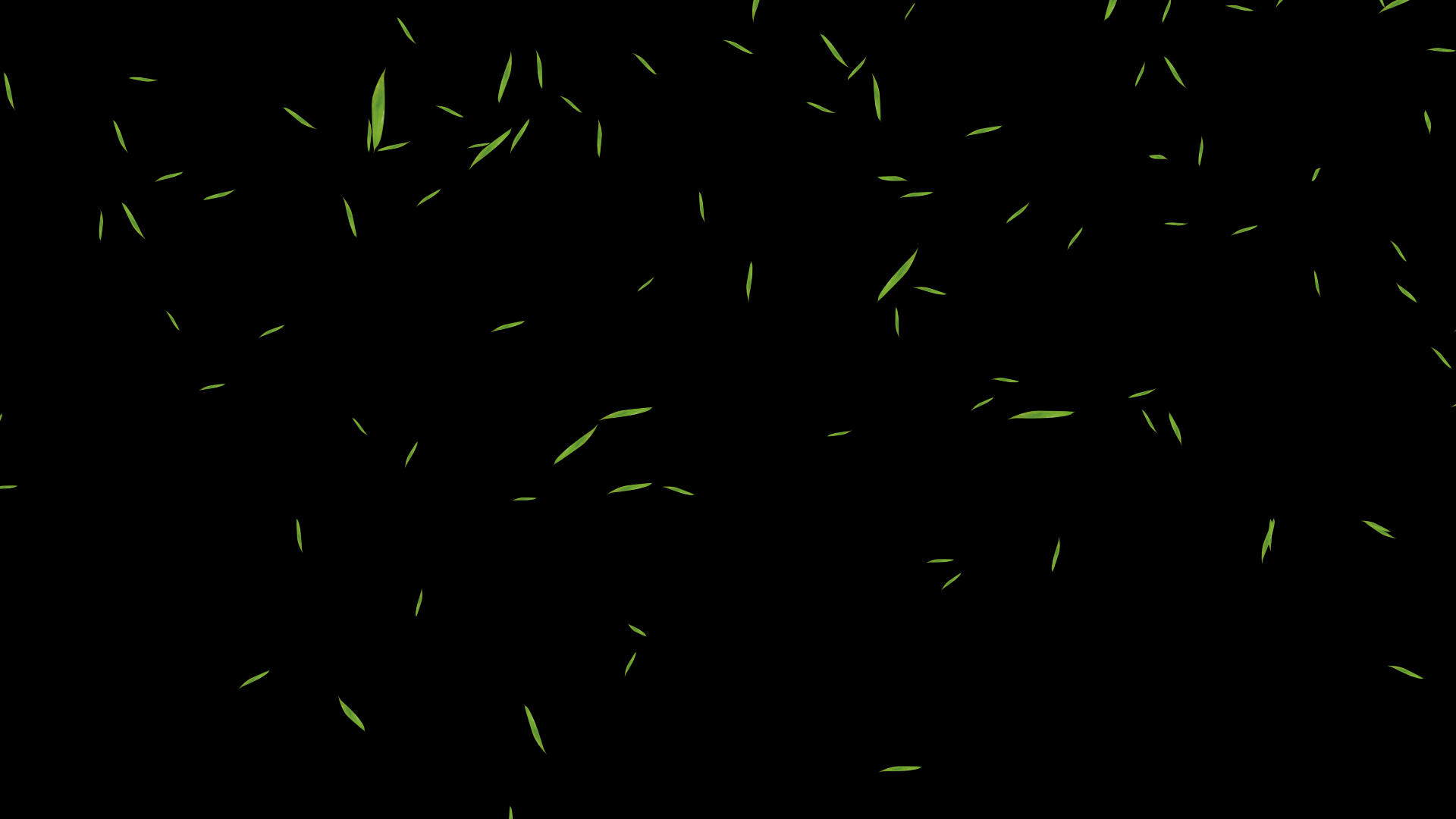 竹叶飘落元素视频的预览图
