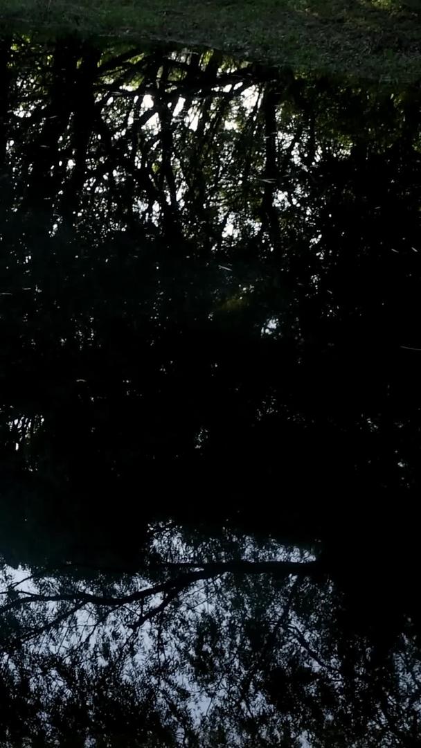 湖水中闪烁的阳光视频的预览图