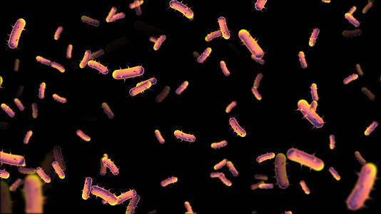 透明通道细菌病毒素材视频的预览图