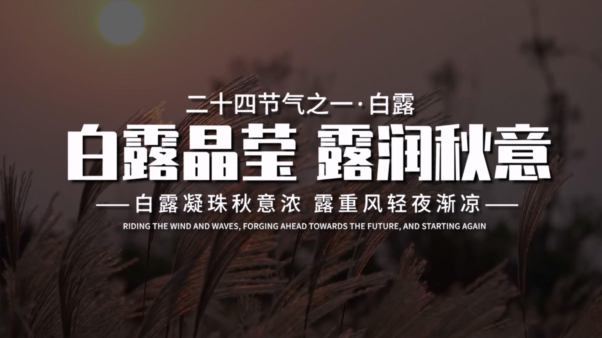 简洁清新的白露照片展示PR模板视频的预览图