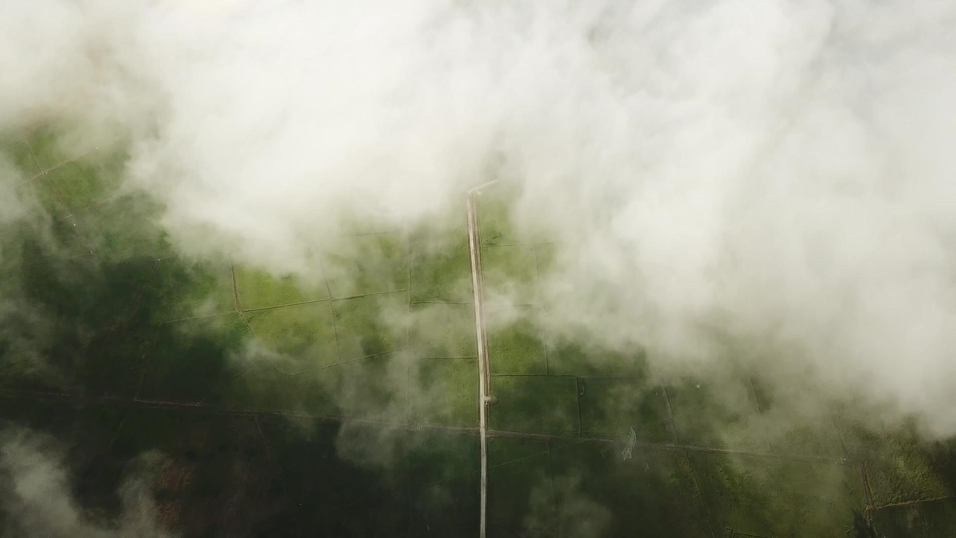 雾笼罩着陆地视频的预览图