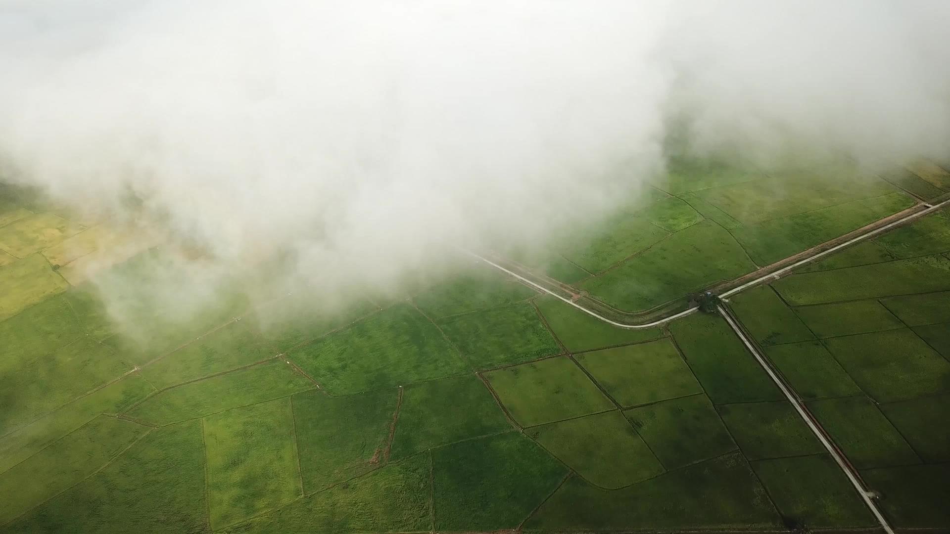 白云在绿色稻田上方移动视频的预览图
