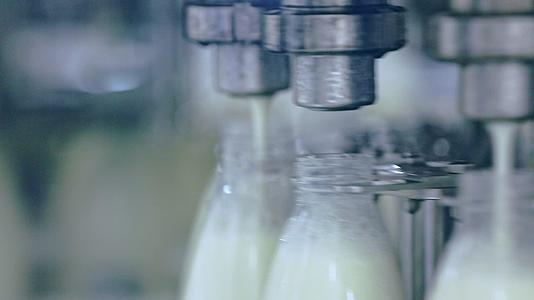 牛奶被倒入塑料瓶奶制品厂生产线视频的预览图