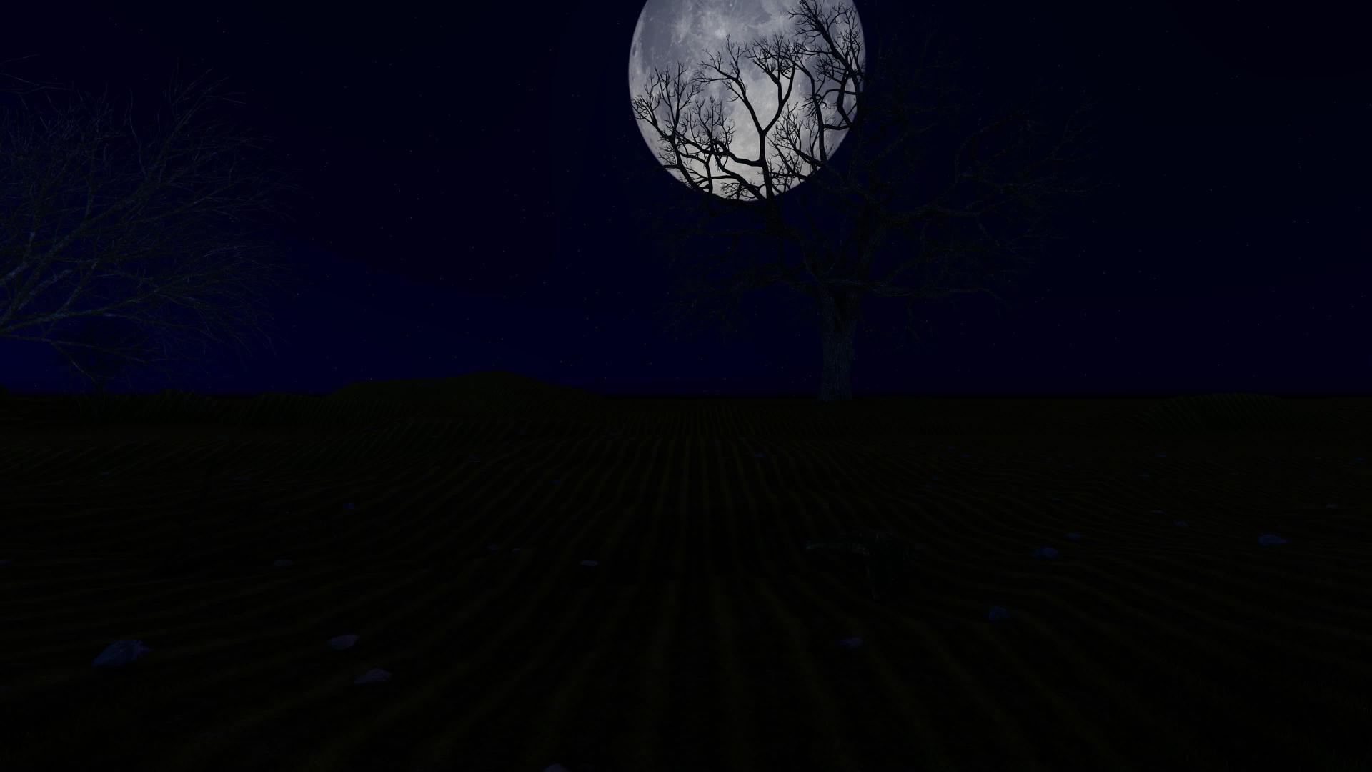 满月在树后面晚上没有树枝视频的预览图