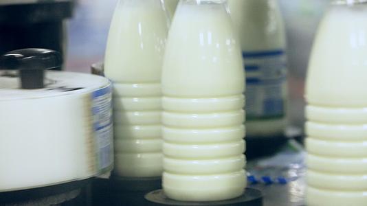 在牛奶生产线上贴上产品标签的牛奶瓶视频的预览图