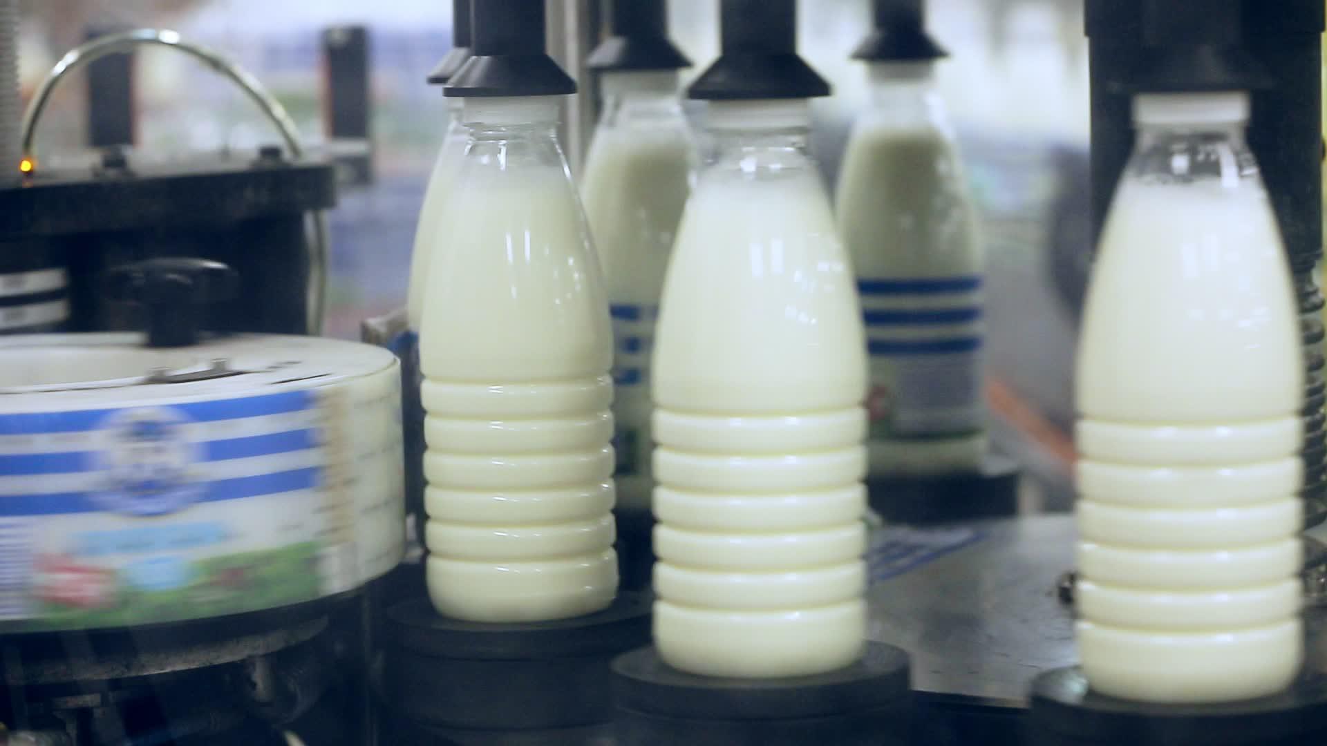 在牛奶食品加工厂给牛奶制品贴上标签视频的预览图