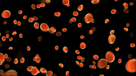 透明通道血小板红细胞视频素材视频的预览图