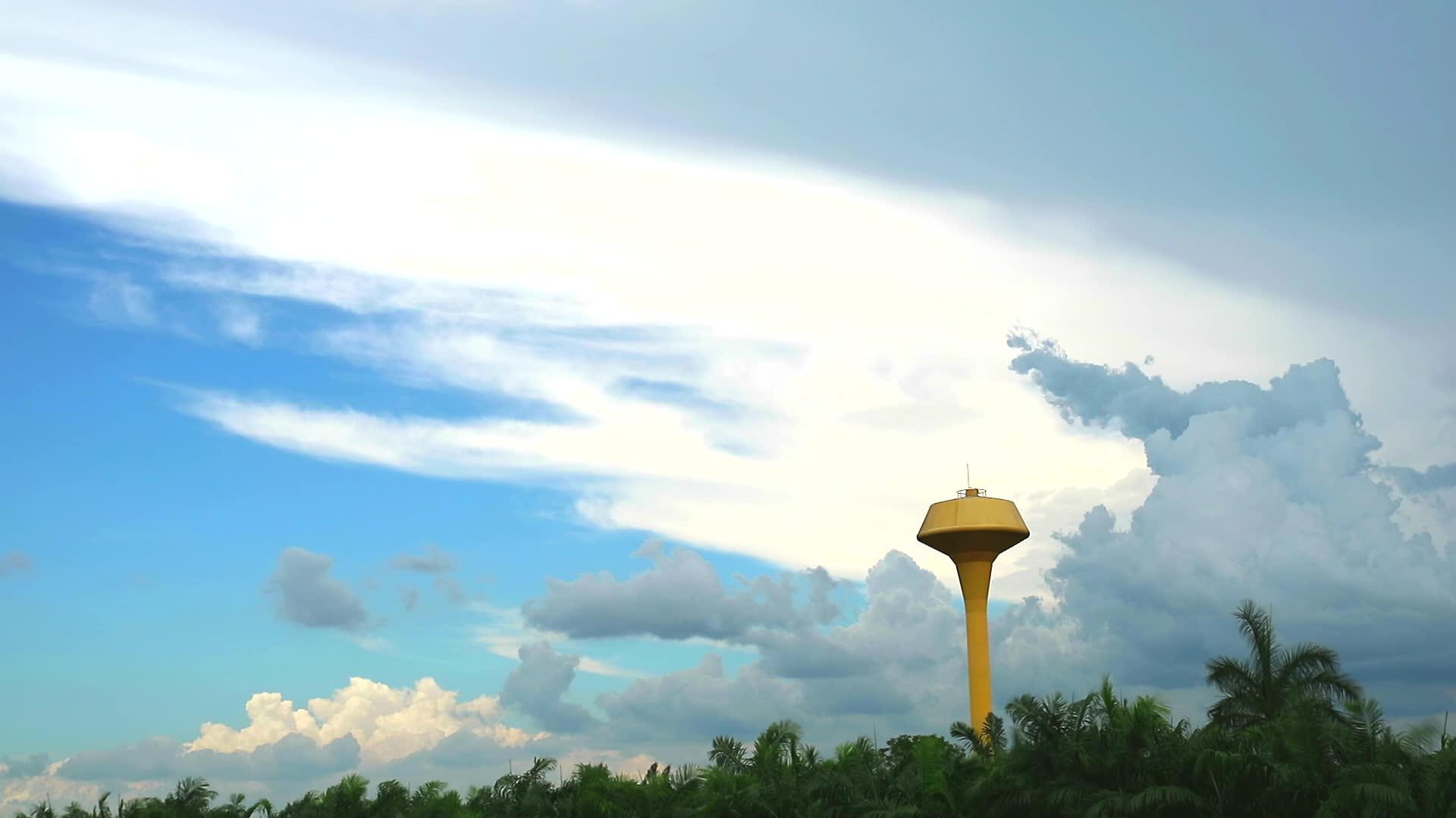 云层在绿色的椰子花园上移动视频的预览图