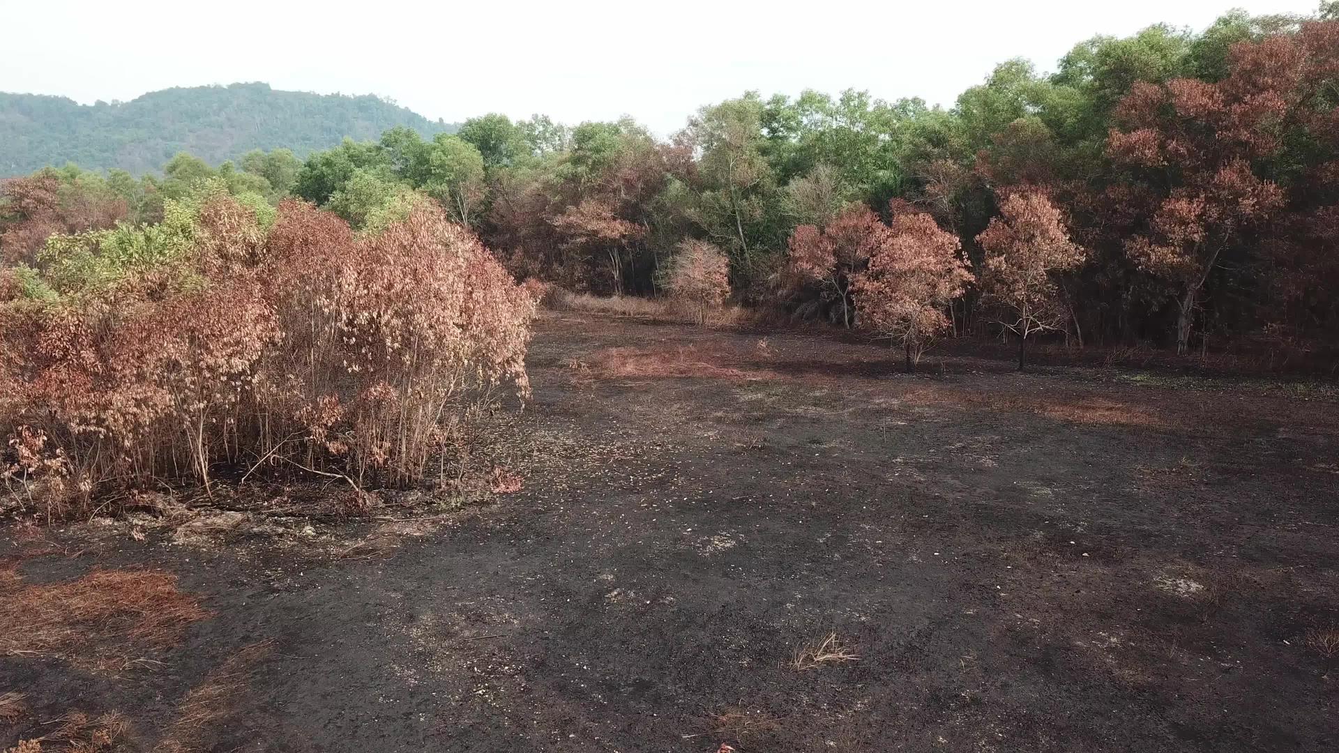 在村里灌木之前在旱地上飞翔视频的预览图