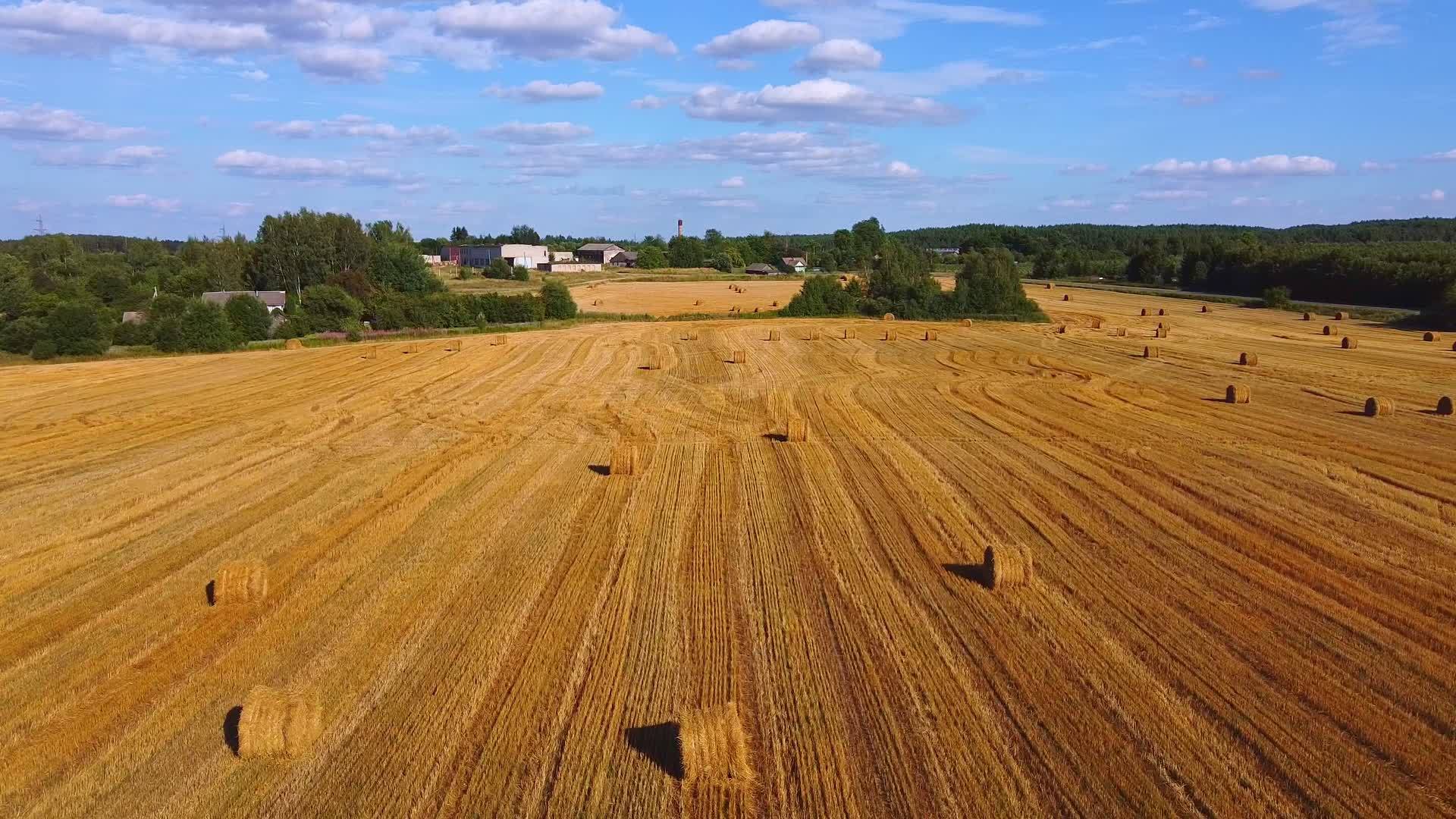 田地草篮农业和收获的概念视频的预览图