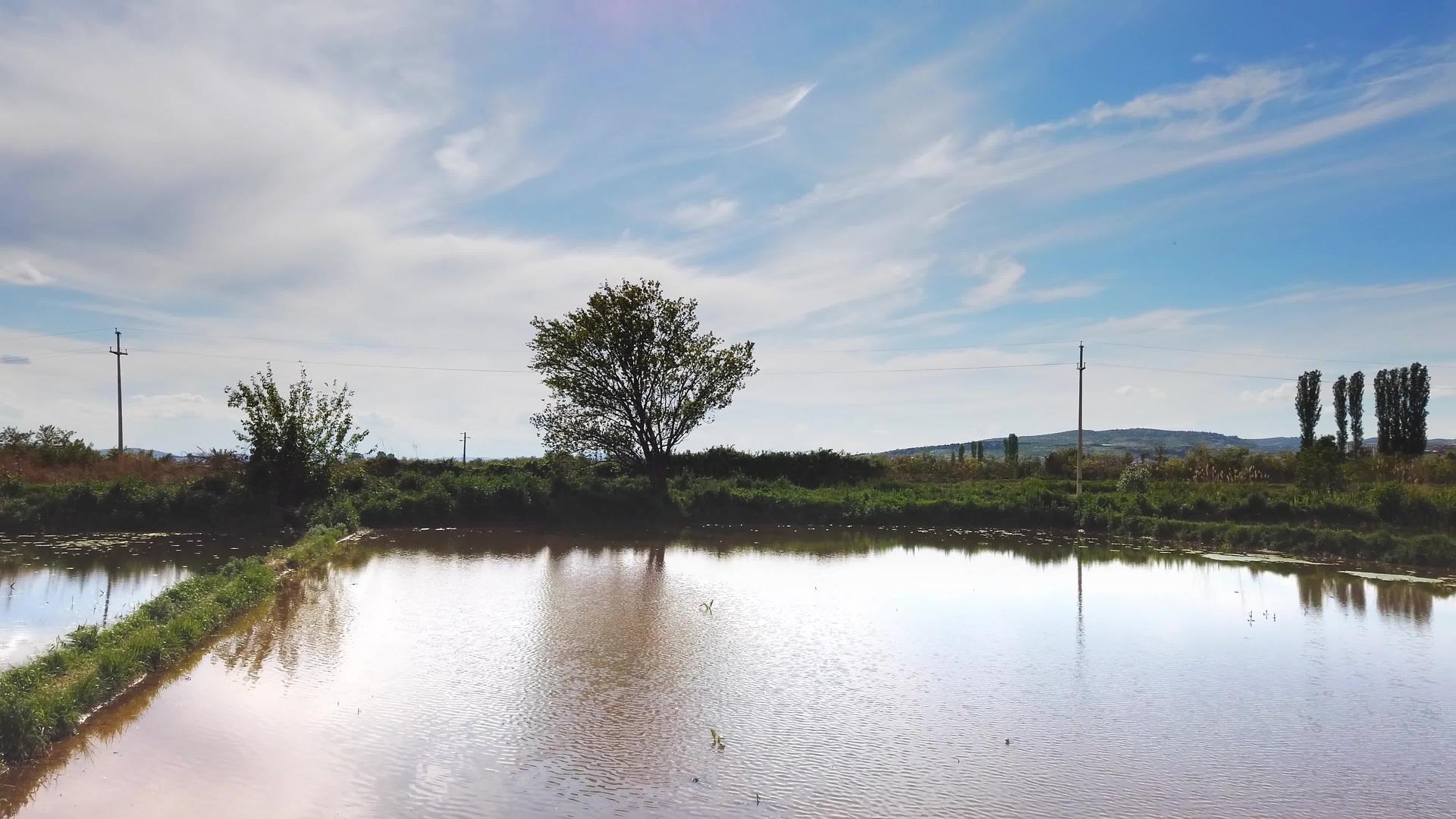 稻田在春天被淹没视频的预览图