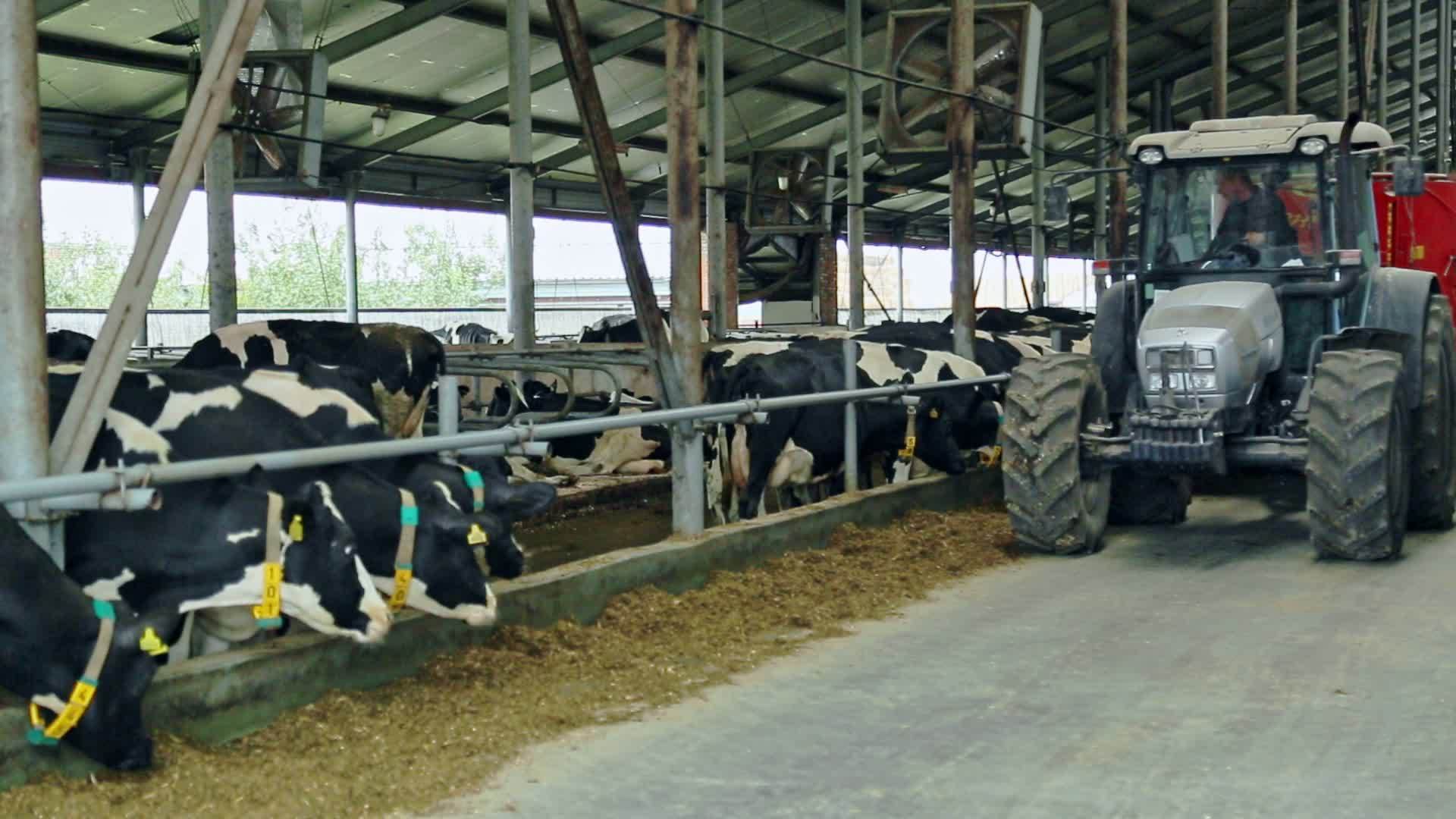 谷仓里的拖拉机视频的预览图