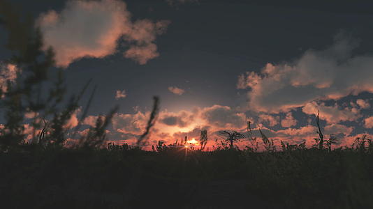 日出在草原上视频的预览图