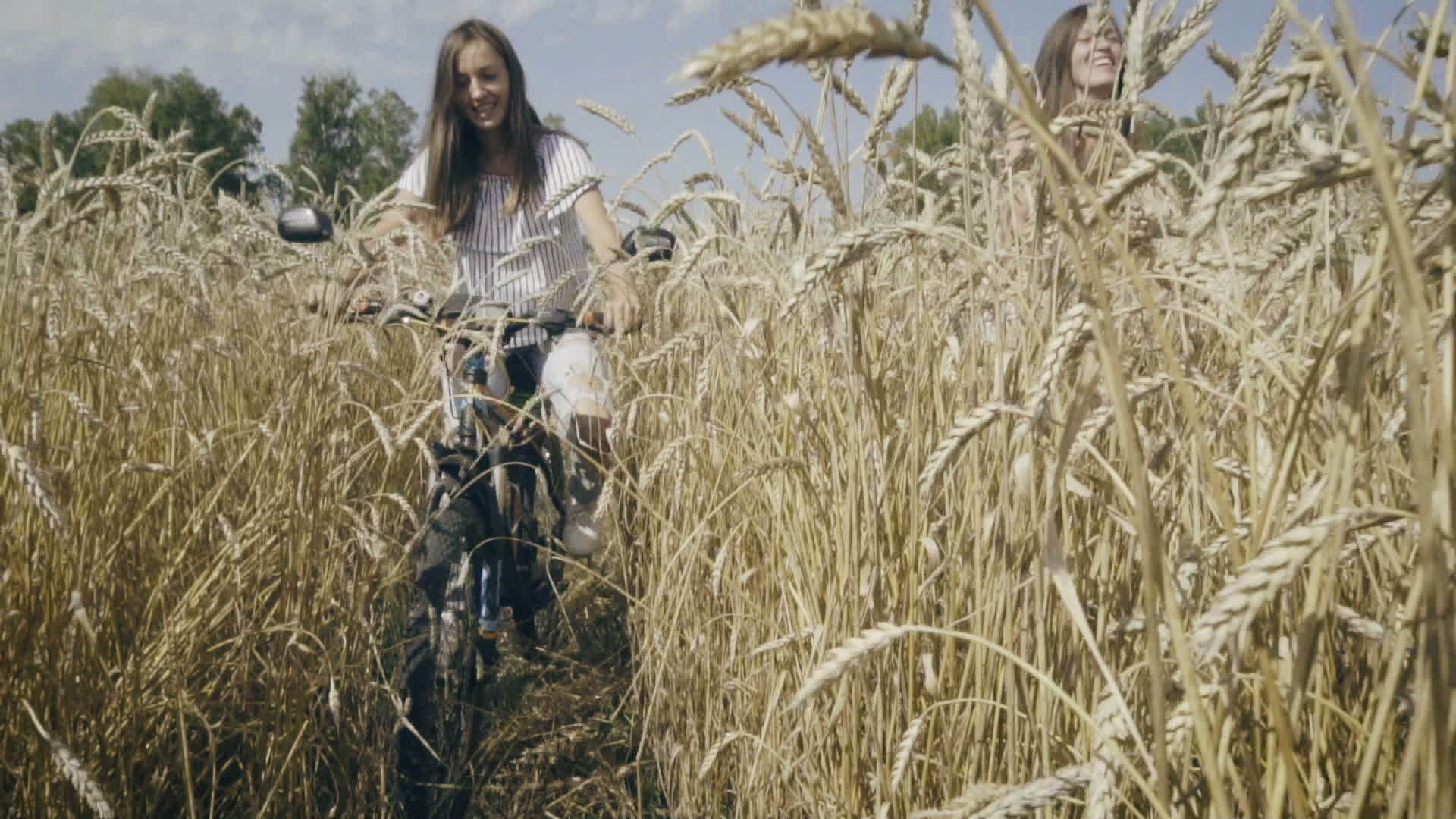 在小麦田骑自行车的女人视频的预览图