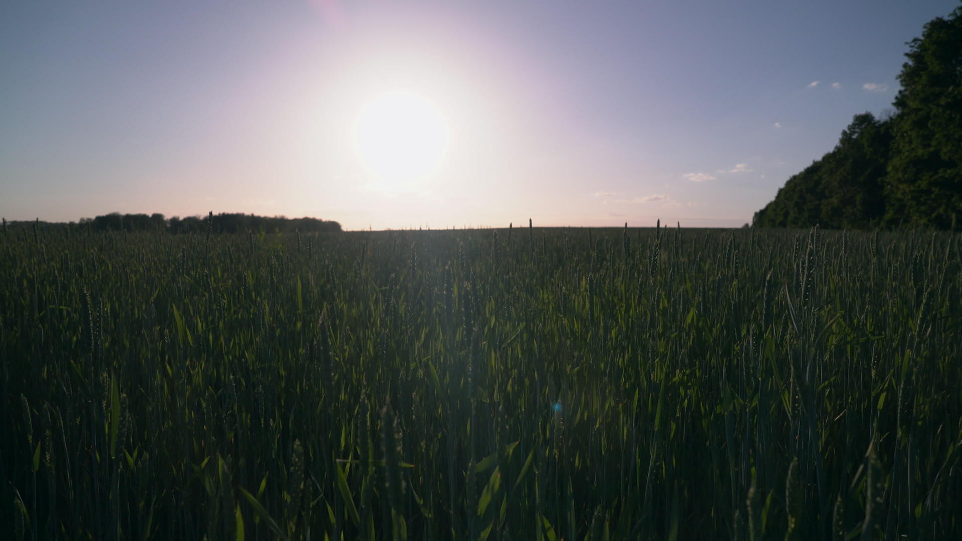 日落时自然景观视频的预览图