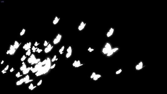 发光蝴蝶转场（带通道）视频的预览图
