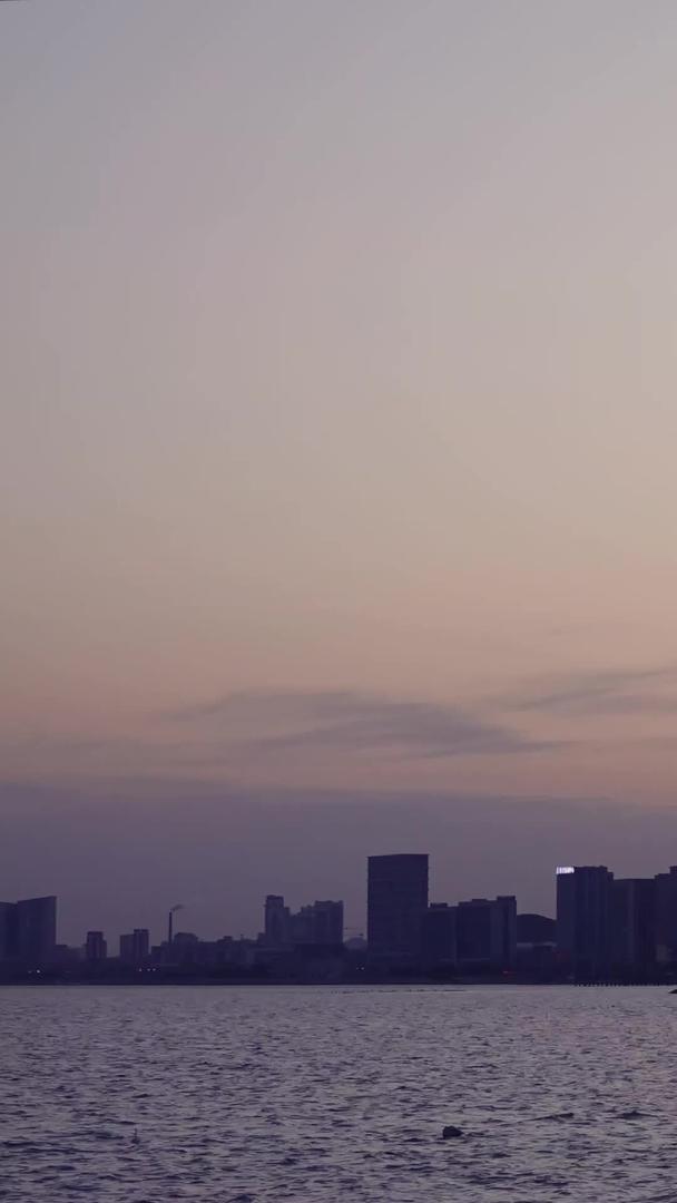 海滨城市夜景延时摄影视频视频的预览图