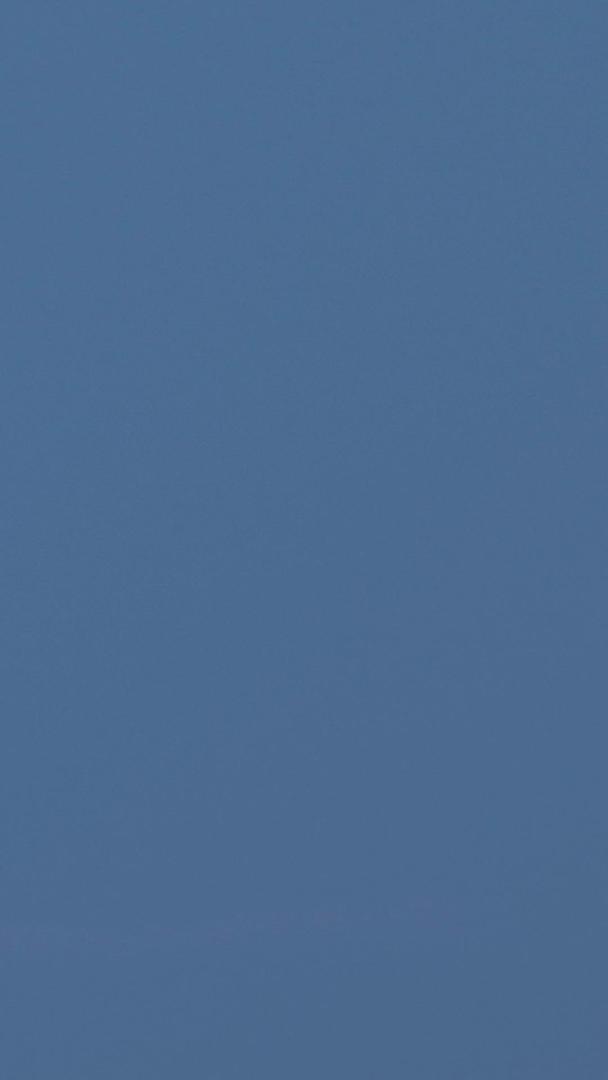 延迟摄影中秋节圆月升起天际线地标电视塔上的素材视频的预览图