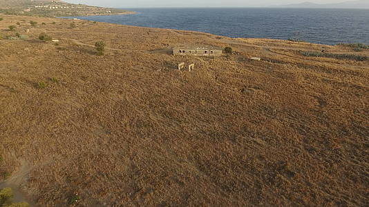 在海上附近的田地上遗弃的建筑视频的预览图