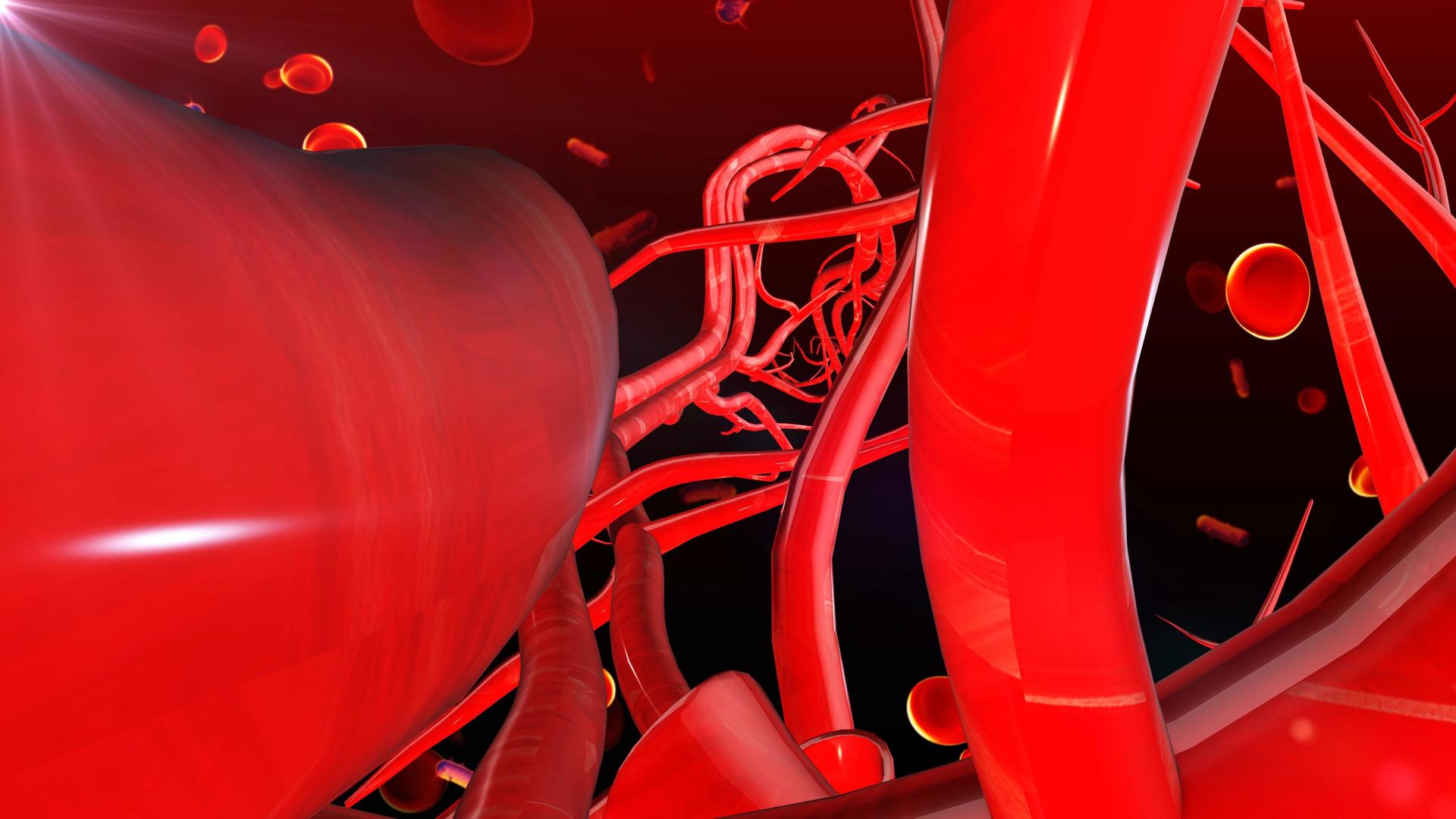 4K血管细胞病菌背景视频的预览图