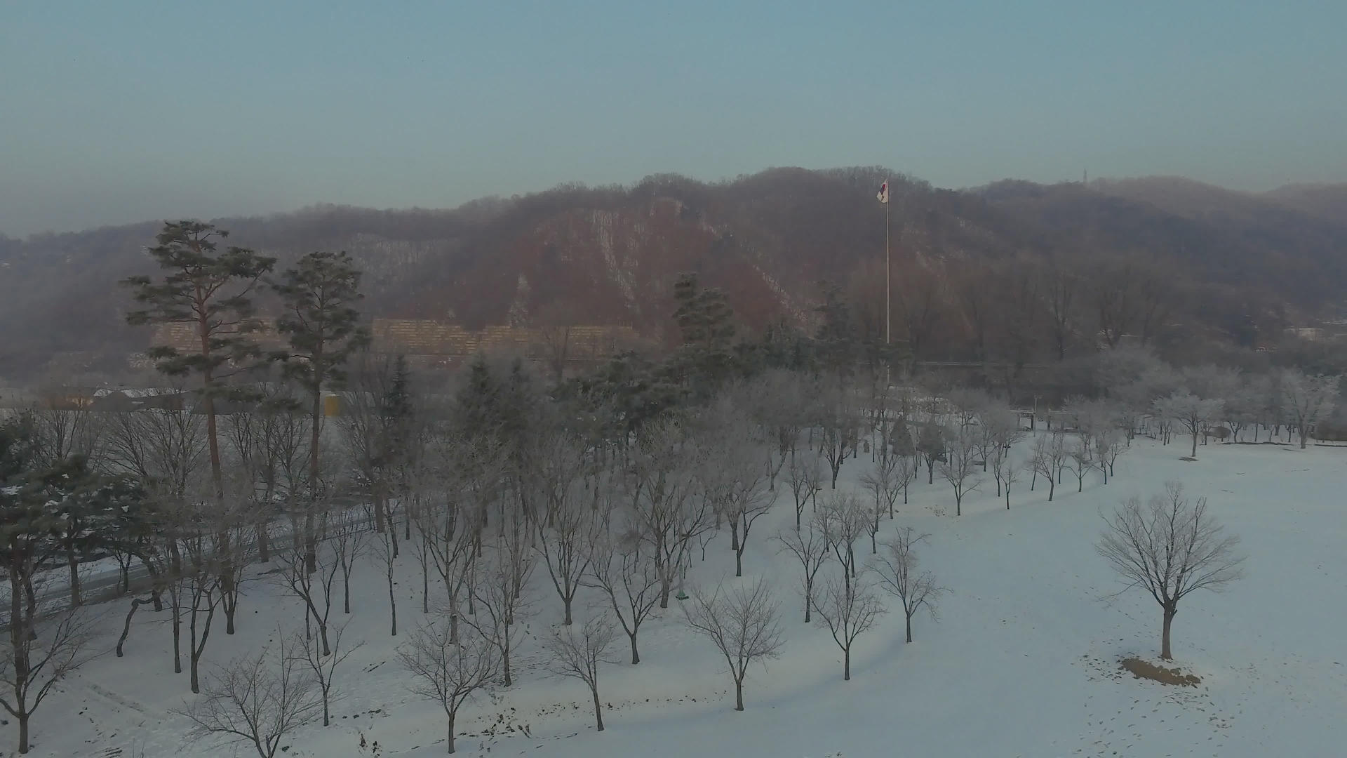 无人驾驶飞机飞越雪覆盖的树木视频的预览图