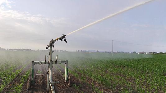 灌溉玉米田2视频的预览图