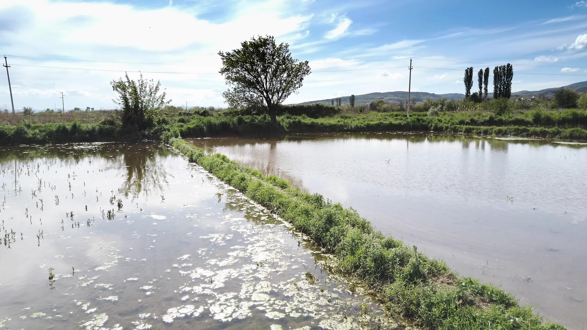 稻田水池农业背景视频的预览图