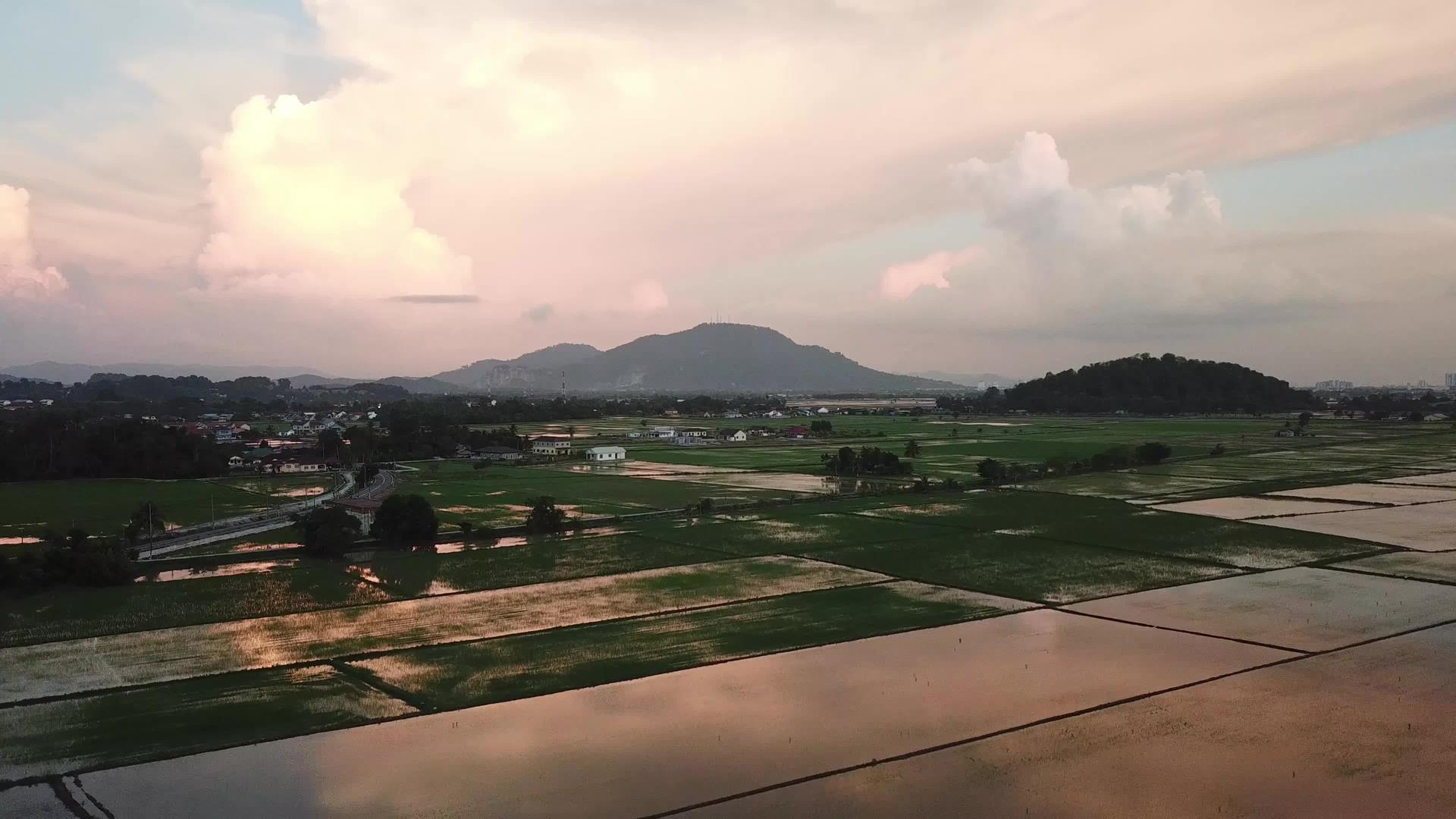 马雷村附近的稻田视频的预览图