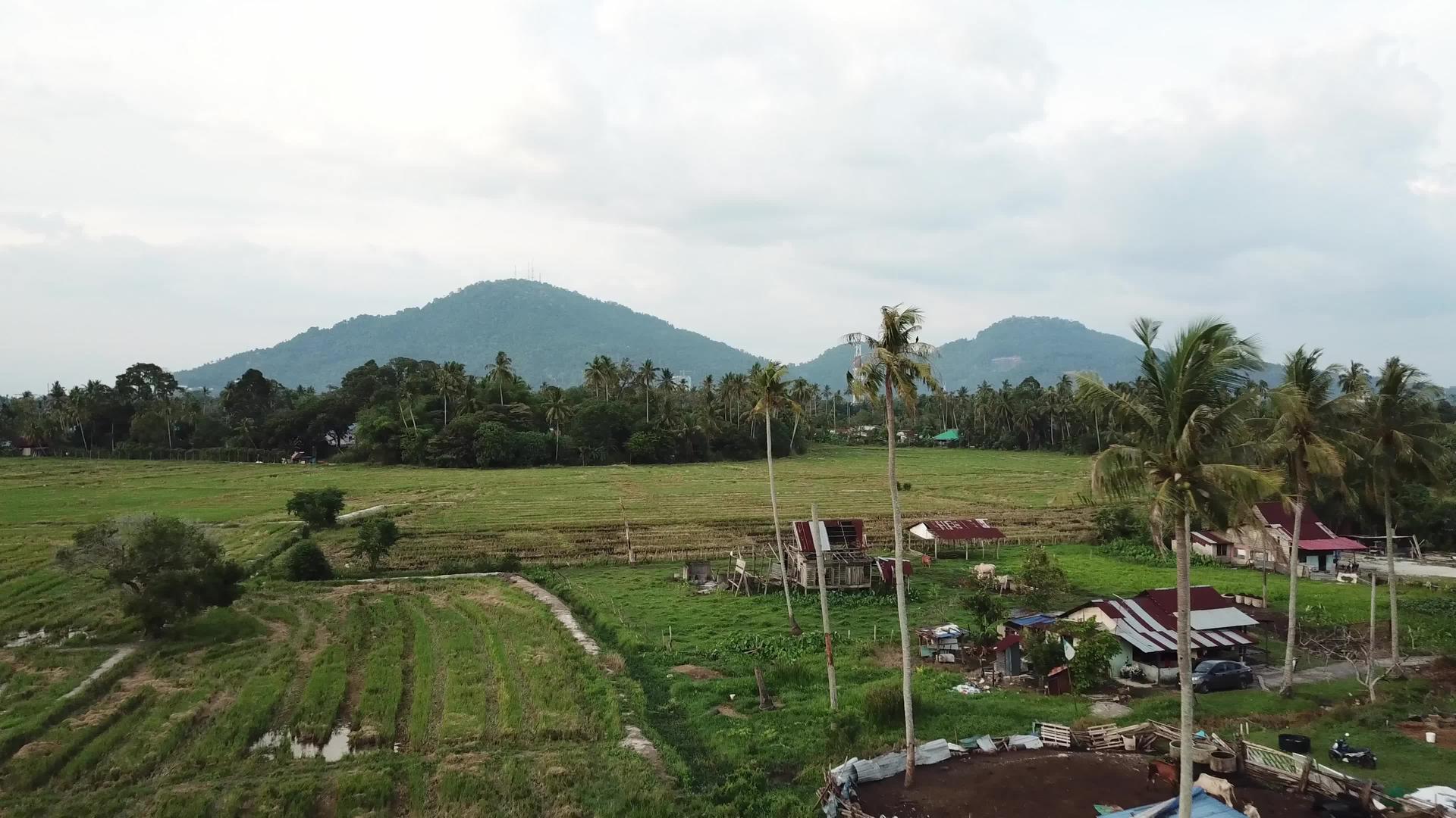在小村庄的农村地区空中射击视频的预览图