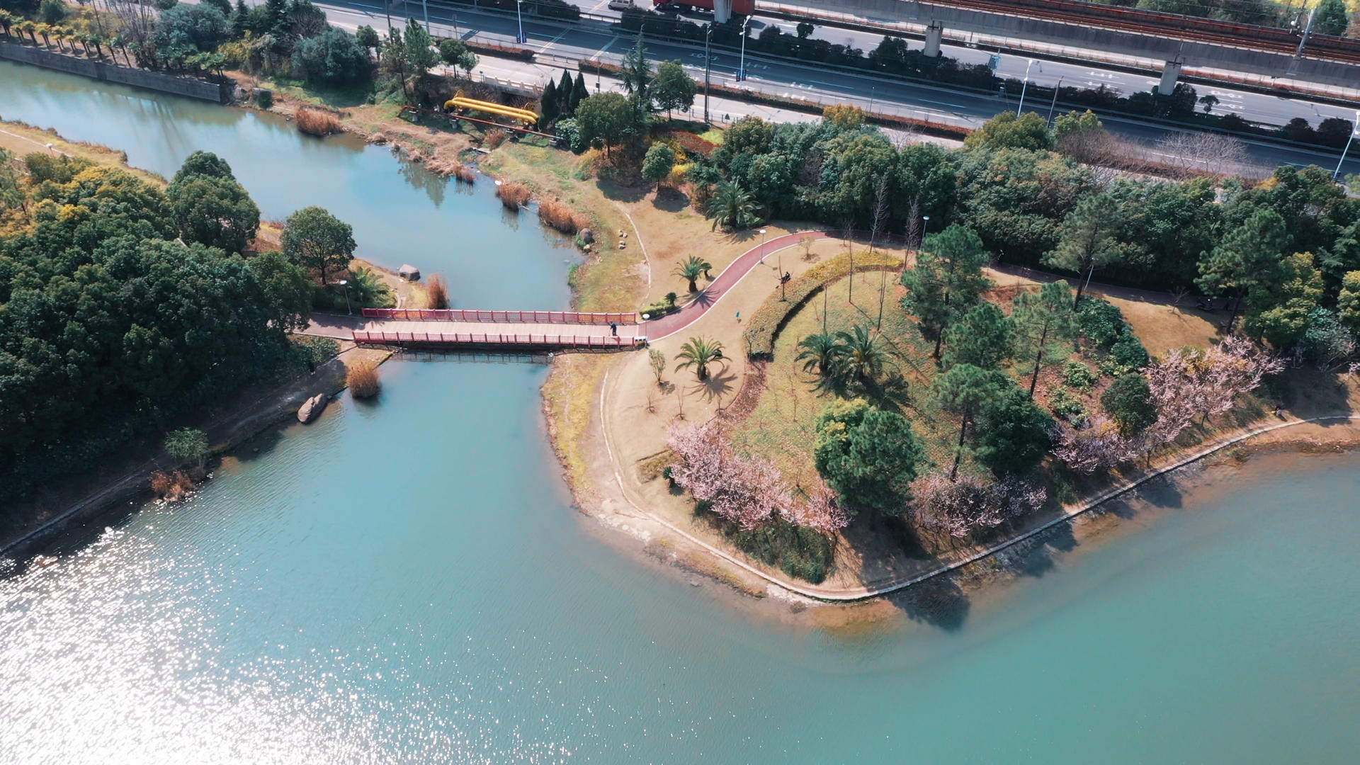 上海美兰湖春日风光视频的预览图