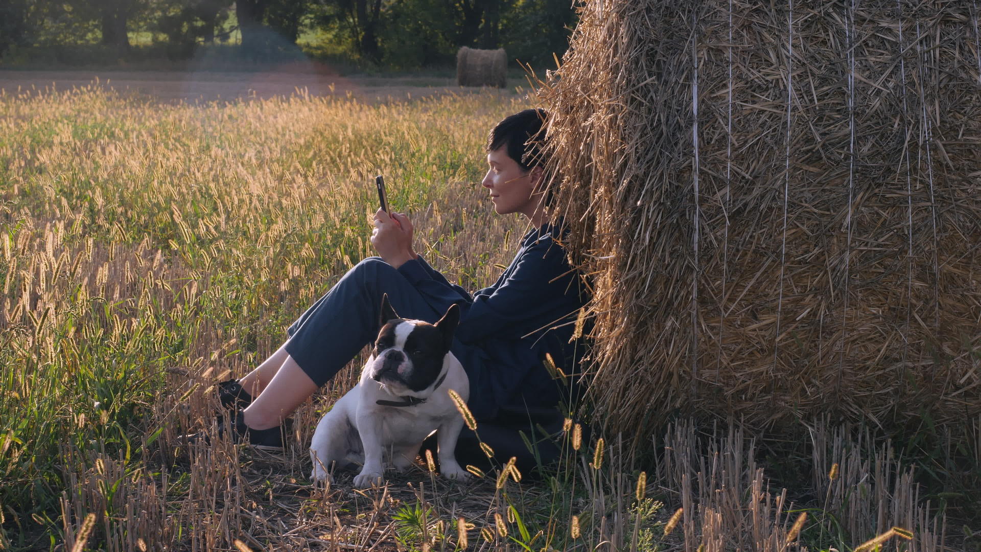 年轻女孩和法国斗牛犬坐在草地上视频的预览图