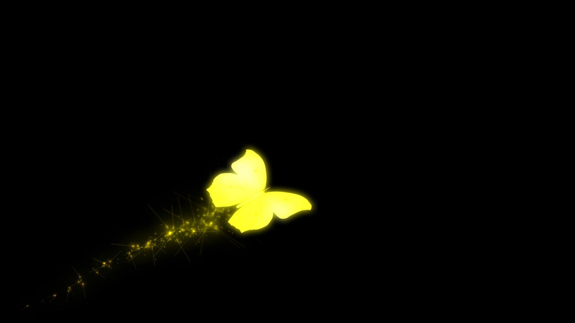 金色蝴蝶飞舞拖尾（带通道）视频的预览图