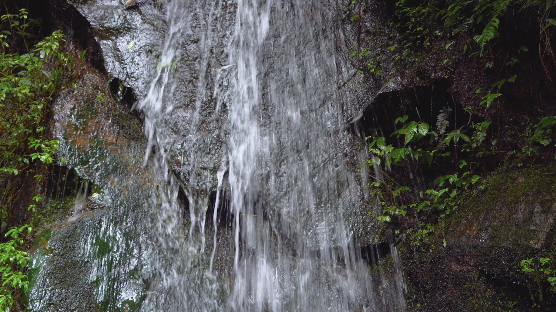 从山上流下来的山泉水视频的预览图