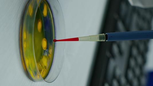 科学家用微量移液器分析血液样本的垂直视频视频的预览图