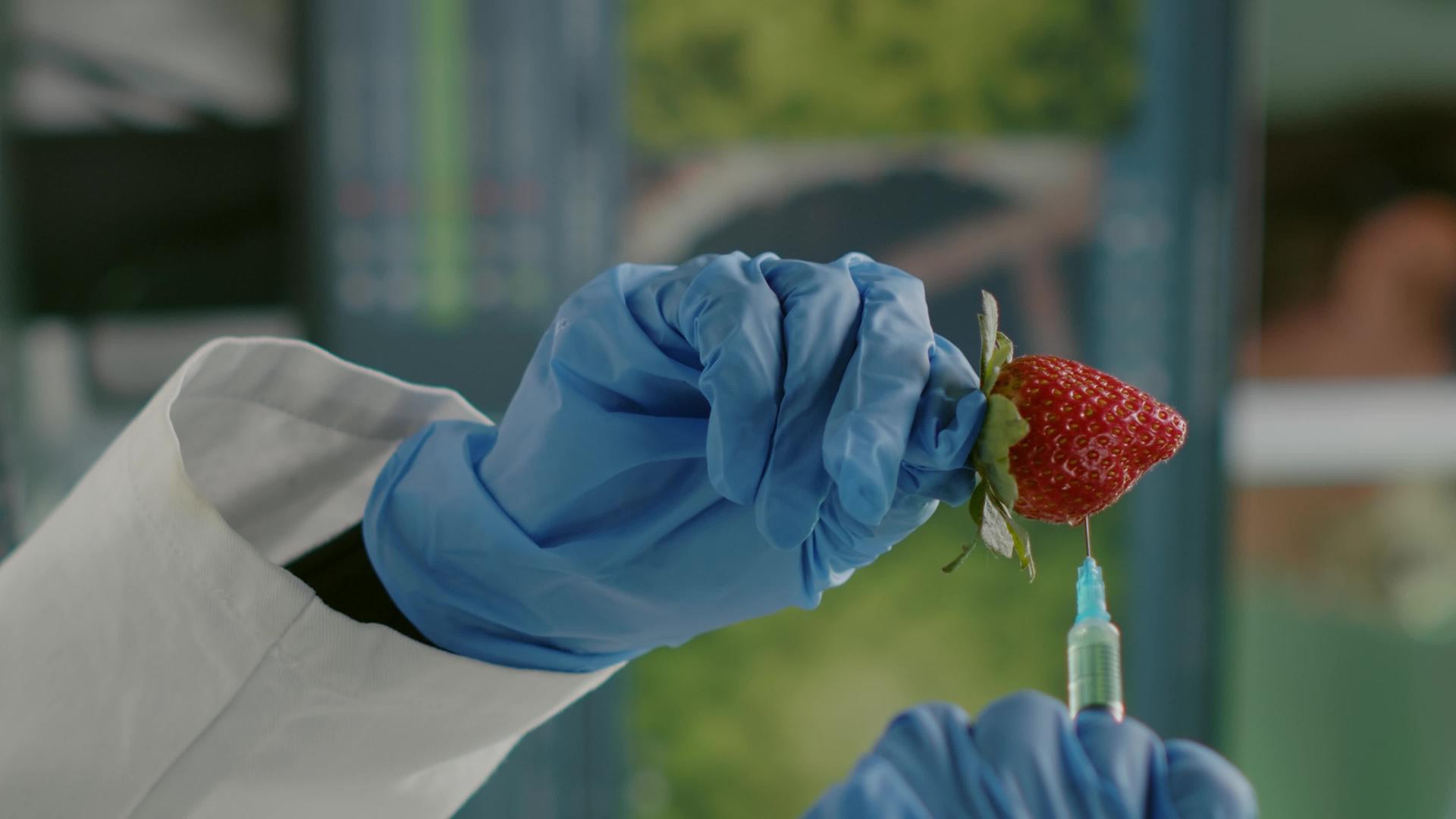 垂直视频特殊化学家科学家使用化学农药注射天然草莓草莓垂直视频的预览图