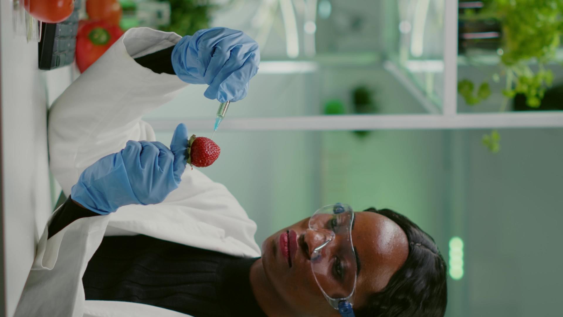 注射草莓垂直视频化学科学家视频的预览图