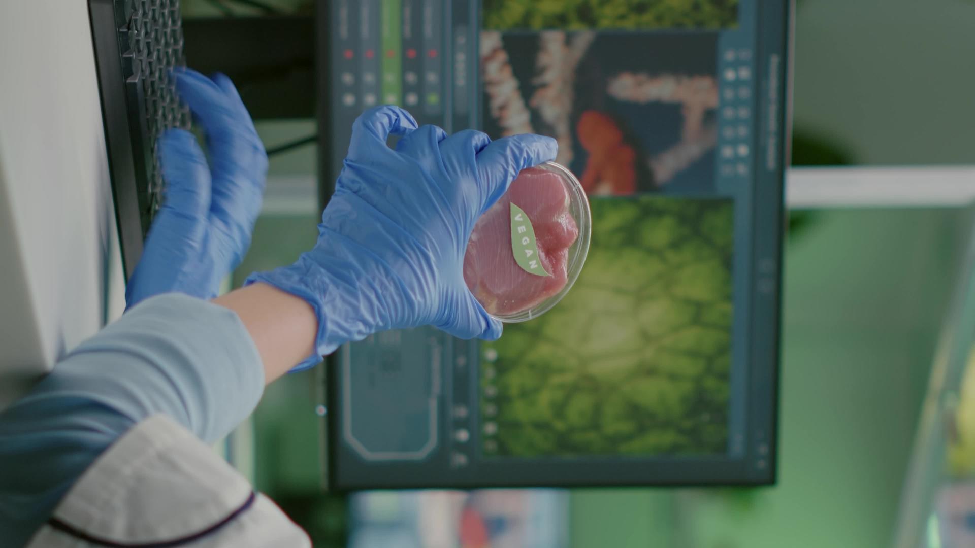化学家女性分析生物化学实验垂直版的素食牛肉视频的预览图