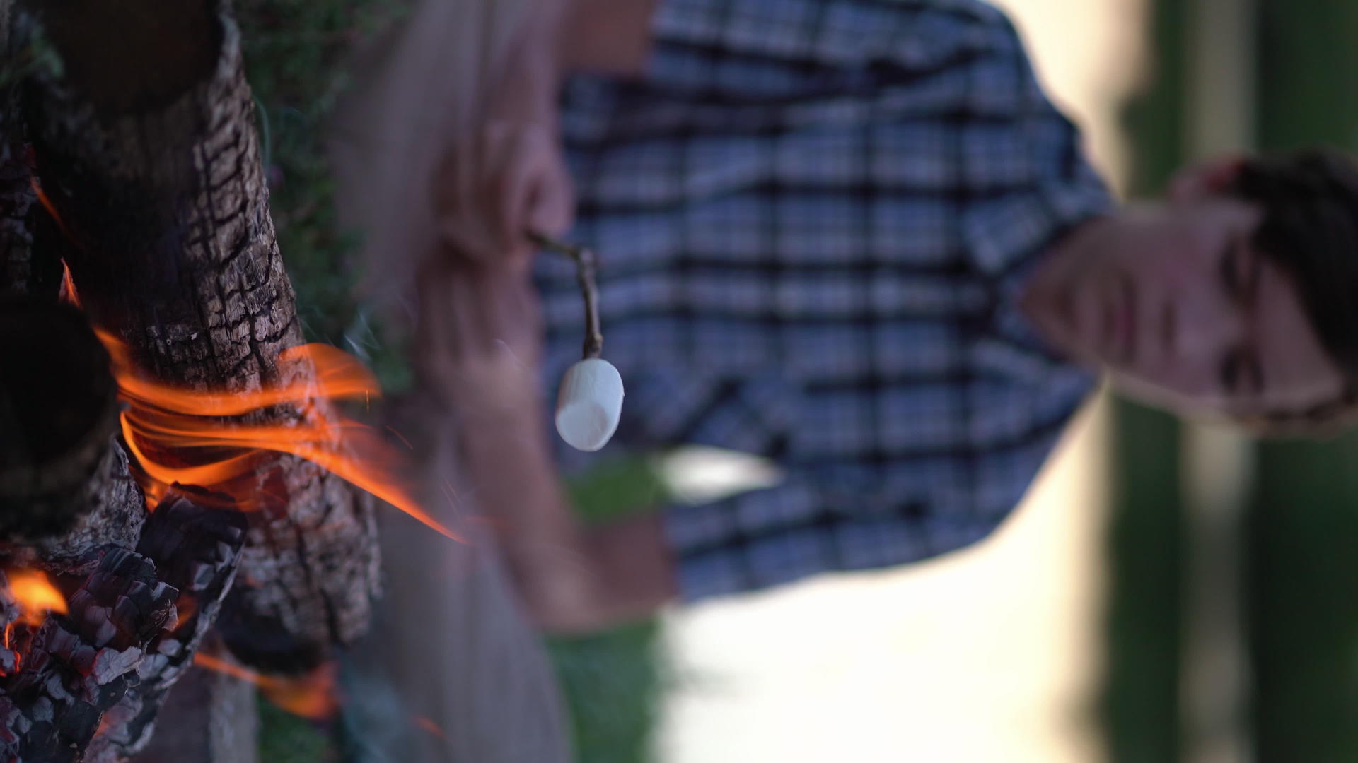 纵横视频年轻游客在露营附近的火边烤棉花糖【垂直版】视频的预览图