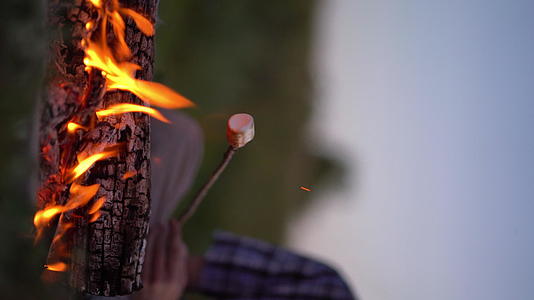 年轻游客在露营附近的火边烤棉花糖视频的预览图