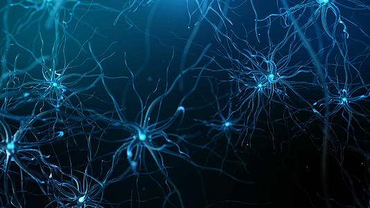 4K三维医学显微神经元背景视频的预览图