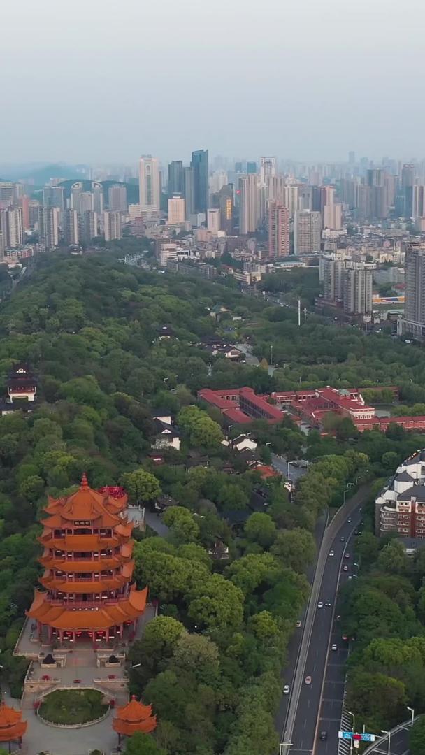 武汉旅游地标城市绿荫环绕风景名胜黄鹤楼视频的预览图