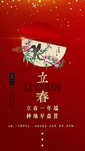 喜庆红色星光粒子传统节日立春二十四节气宣传视频海报视频的预览图