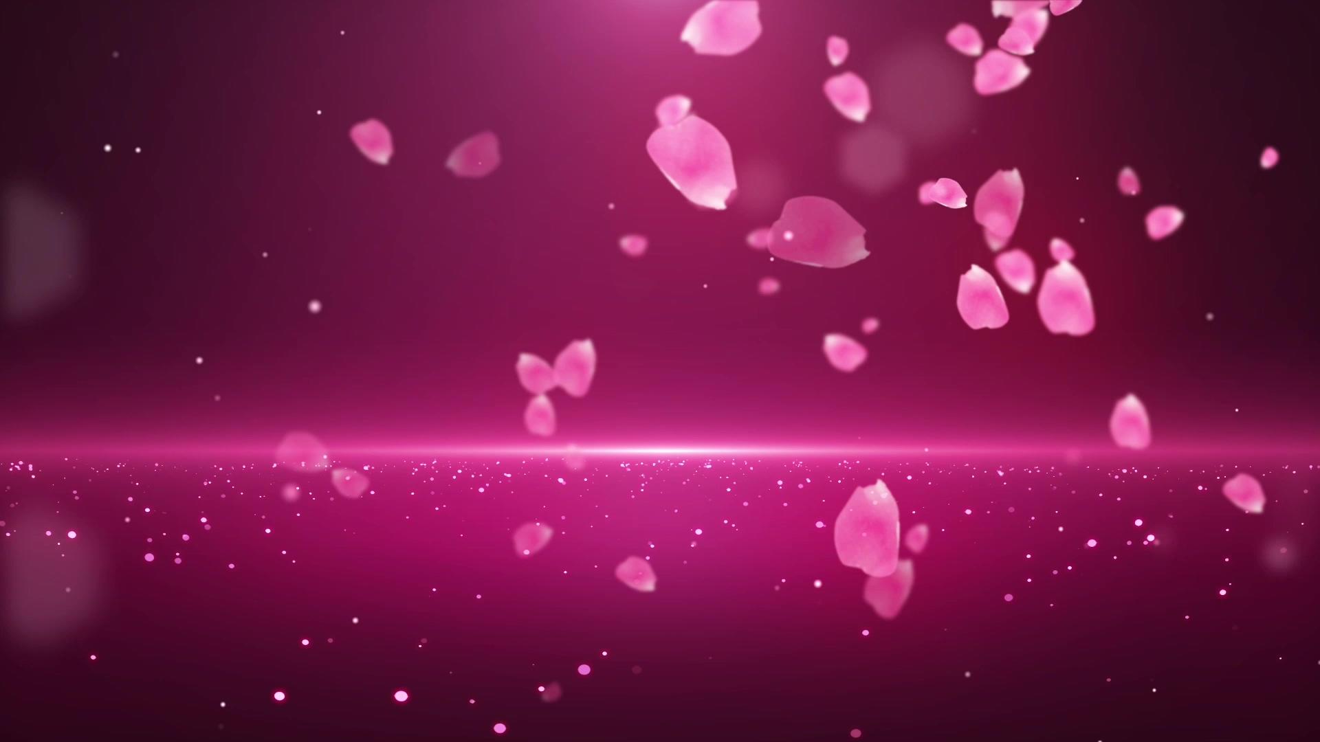 唯美花瓣婚礼背景视频的预览图