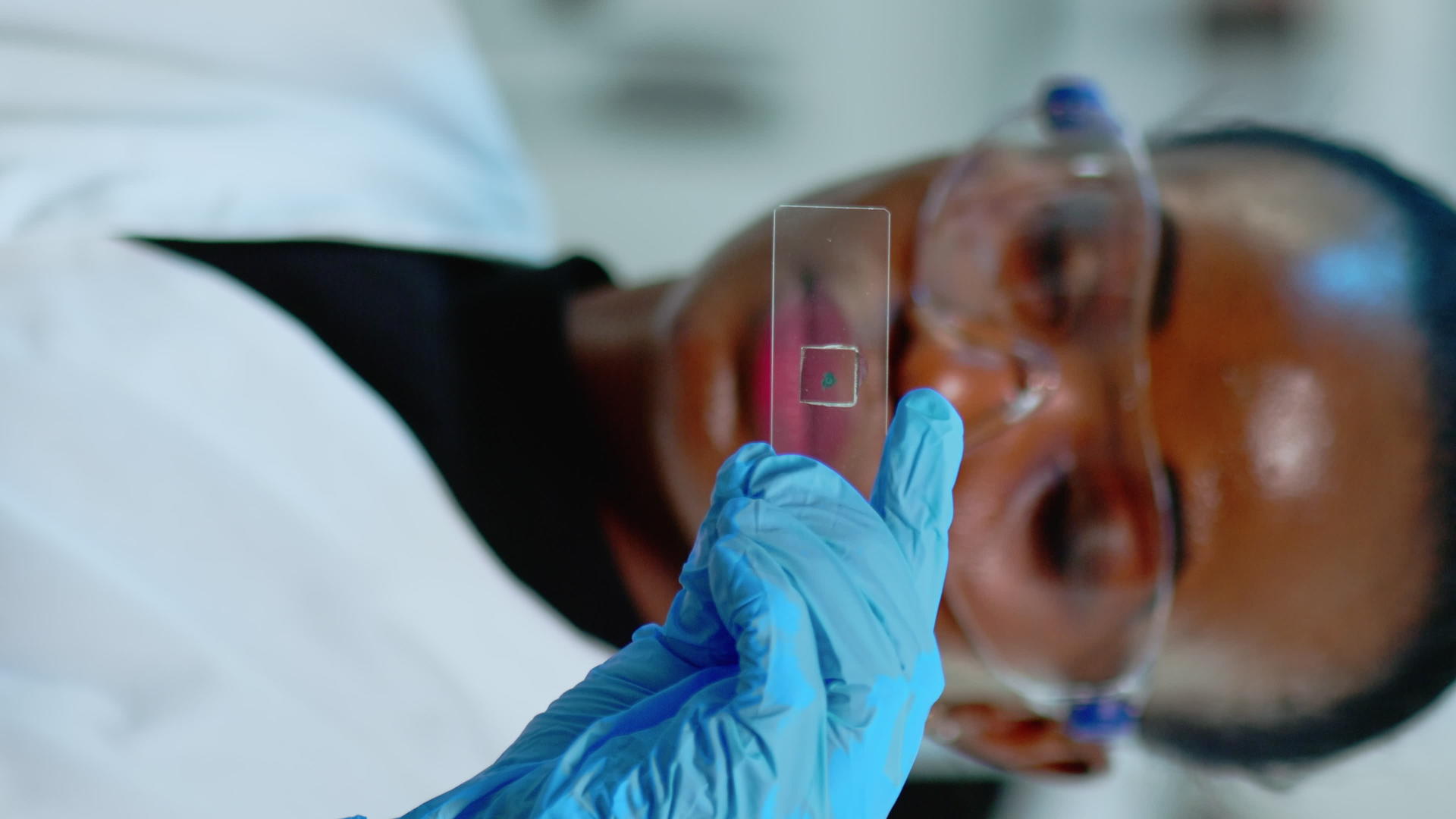 黑色实验室垂直视频技术人员在实验室观察结果视频的预览图